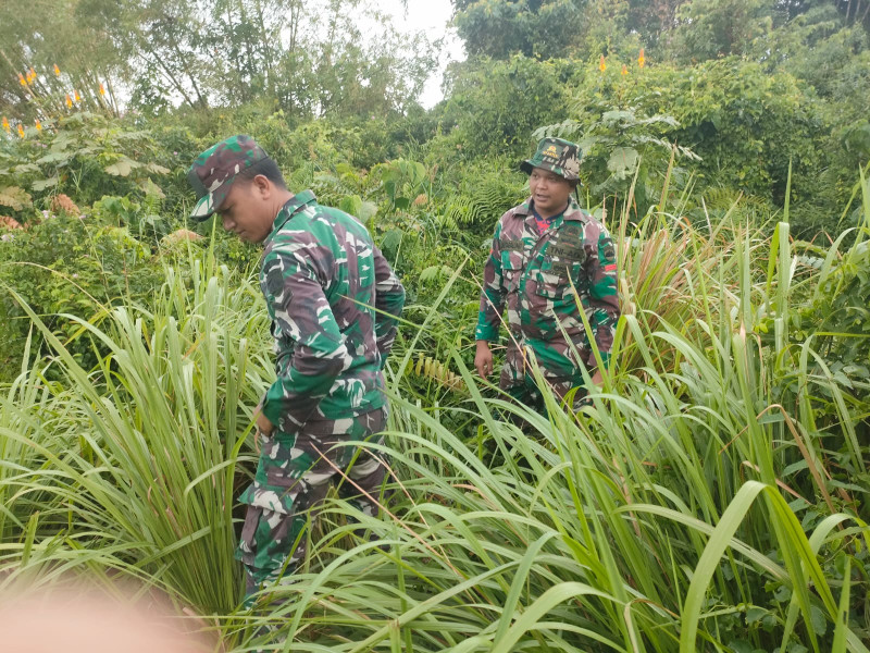 Pencegahan Karhutla Terus Dilakukan Babinsa Koramil 06 Merbau