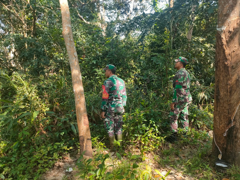 Dalam Mencegah Karhutla, Babinsa Koramil 06 Merbau Melaksanakan Patroli