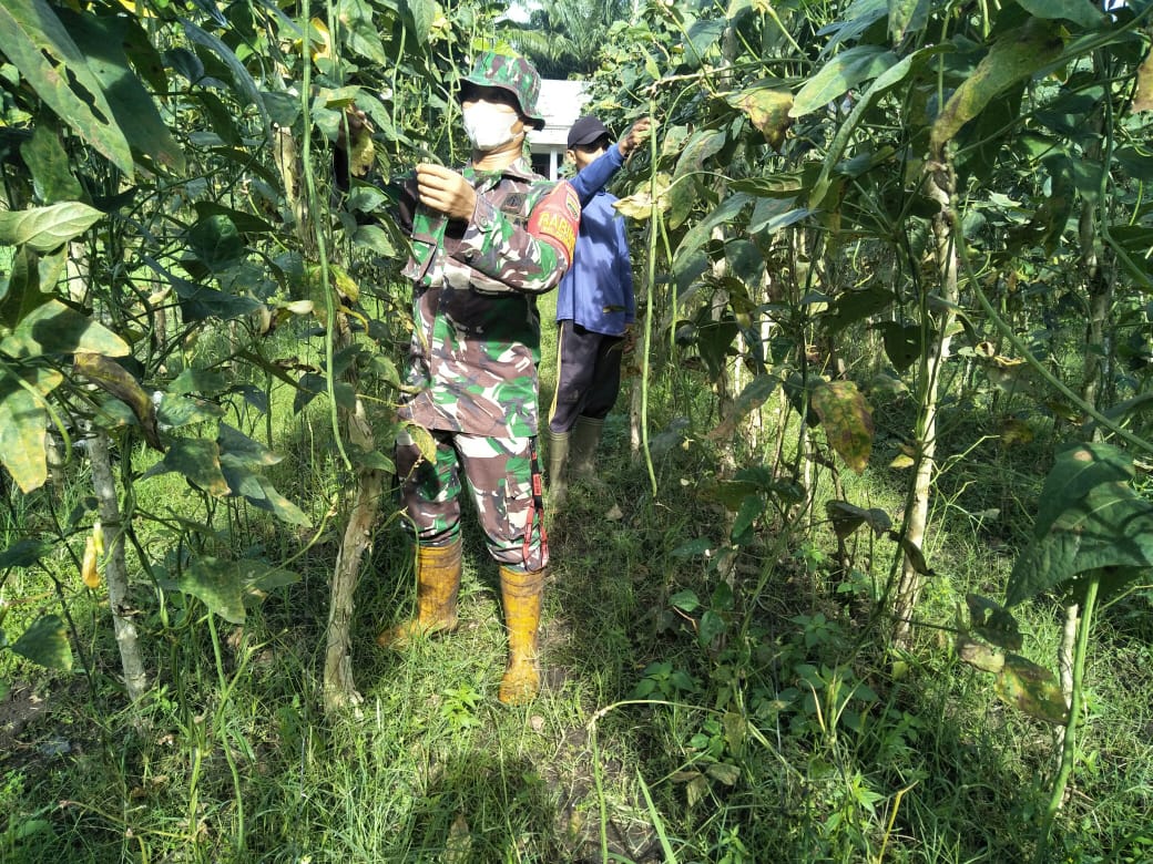 Serda Boby Rahman Lakukan Pendampingan Kegiatan Petani