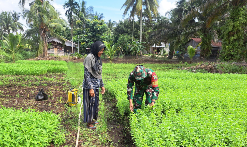 Serda Andri Widodo Dampingi Petani Kangkung dan Sosialisasikan Larangan Karhutla