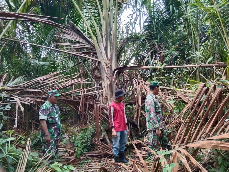 Cegah Karhutla, Babinsa Koramil 06/Merbau Temui Warga yang Membuka Lahan dengan Pembakaran