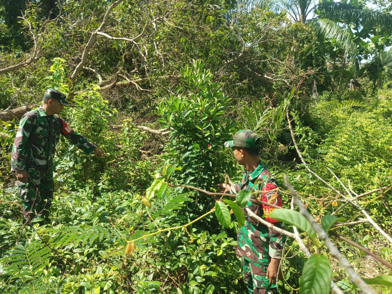 Patroli Rutin Babinsa Koramil 06/Merbau, Warga Diimbau Waspada Karhutla