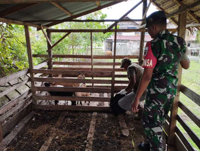 Giat Cegah PMK Oleh Serka Eri Efrianto