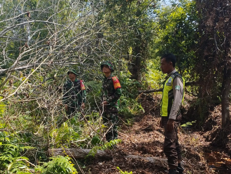 Pelaksanaan Pencegahan Karhutla Terus Dilakukan Oleh Babinsa Koramil 06 Merbau