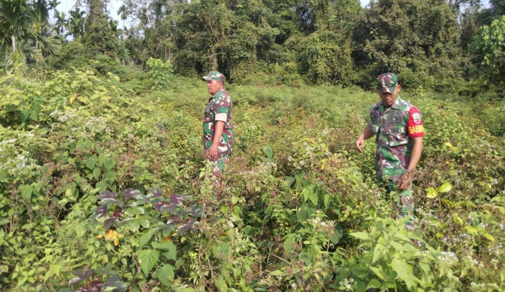 Babinsa: Karhutla Merugikan Lingkungan dan Melanggar Hukum
