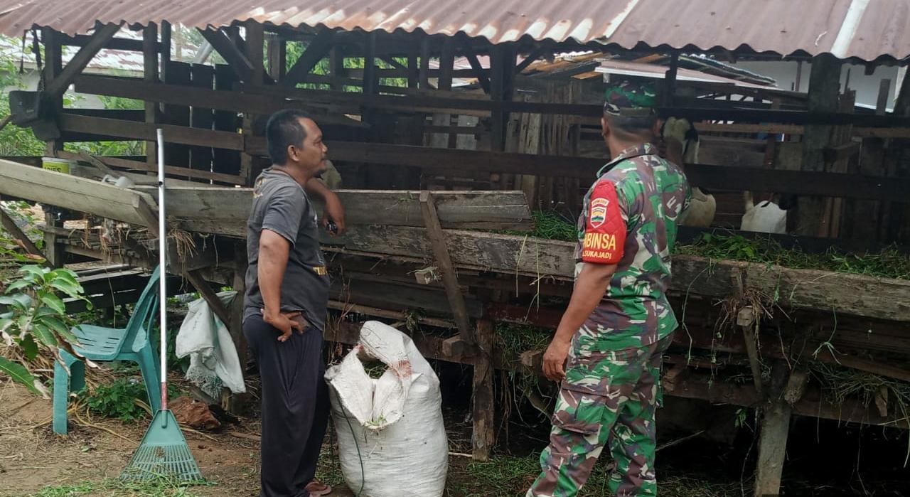 Pengecekan Kesehatan Hewan Ternak Untuk Cegah PMK