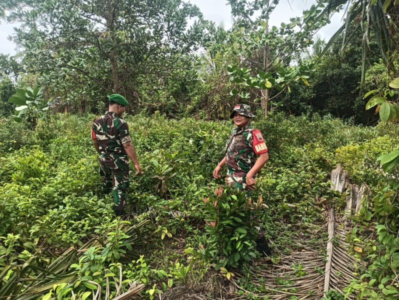 Babinsa Koramil 06/Merbau Rutin Patroli Cegah Karhutla di Desa Tanjung Pisang