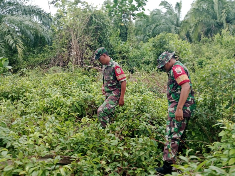 Patroli Rutin, Babinsa Koramil 06/Merbau Sosialisasi Bahaya Pembakaran Lahan