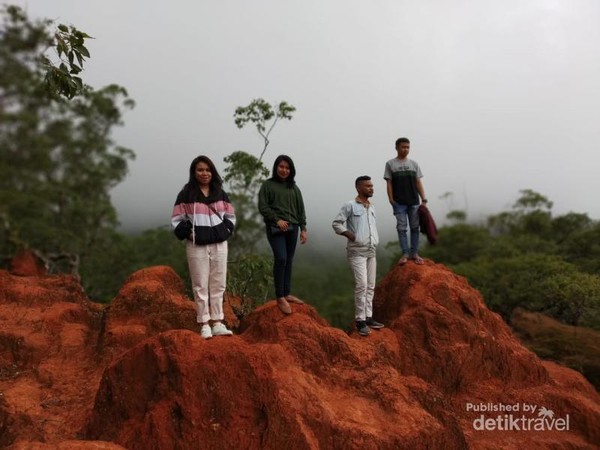 Ini Timor Tengah Selatan, Bukan New Zealand