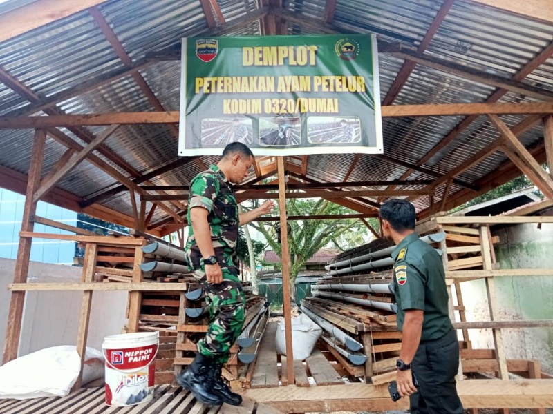 Dandim 0320/Dumai Tinjau Demplot Ayam Petelur, Dukung Ketahanan Pangan