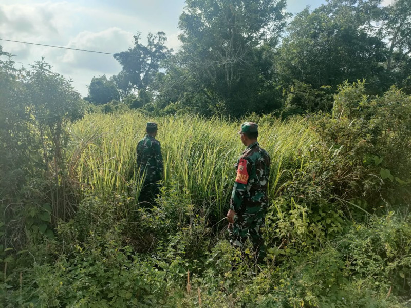 Babinsa Koramil 06/Merbau Gelar Sosialisasi untuk Cegah Karhutla di Desa Tanjung Bunga