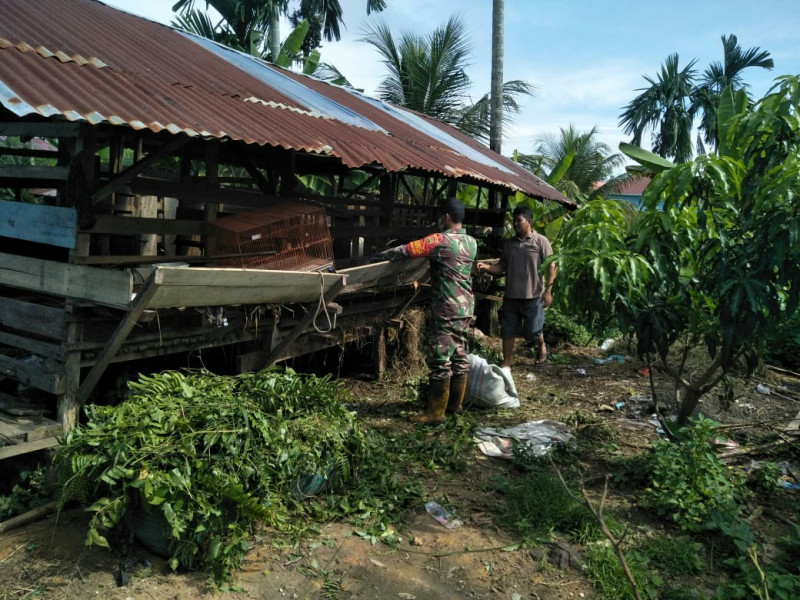 Babinsa Kelurahan Laksamana Berikan Edukasi Terkait Pencegahan PMK