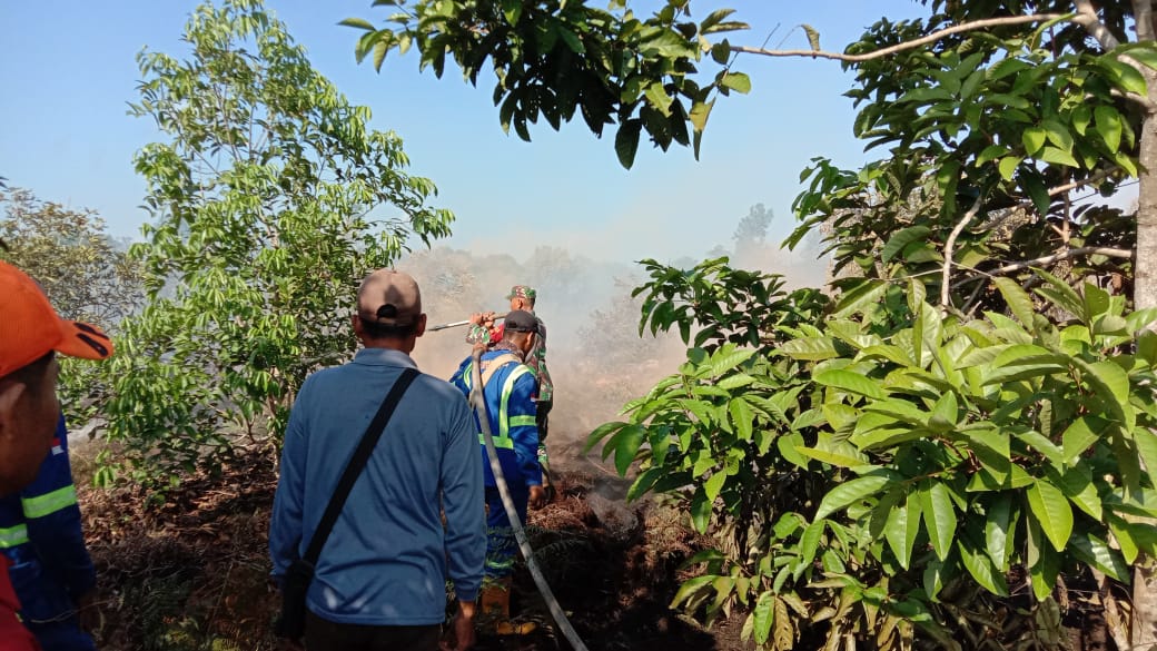 Pemadaman dan Pendinginan Karhutla Oleh Serka Albinur Lubis dan Tim