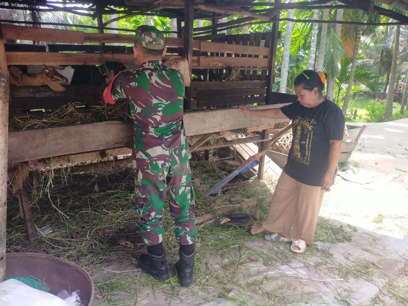 Sertu Arjuna Endar Ajak Warga Teluk Binjai Jaga Kebersihan Kandang Untuk Cegah PMK