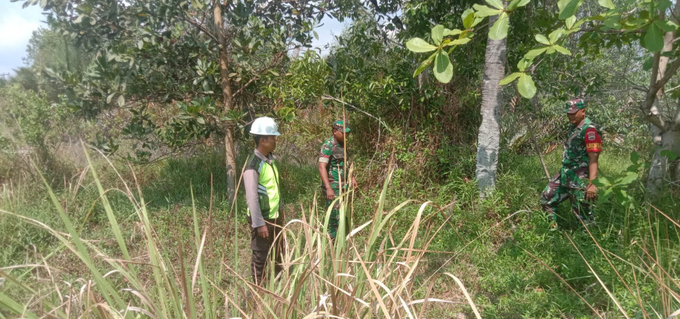 Giat Monitoring Oleh Babinsa Koramil 06 Merbau Untuk Mencegah Karhutla