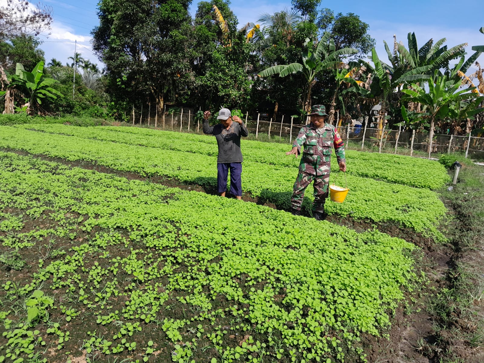 Dampingi Petani, Serda Cerza Katno Ini Yang Dilakukannya