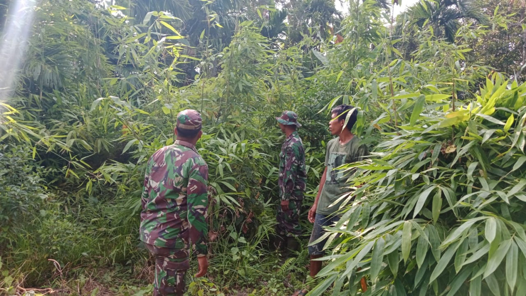 Upaya Gencar Yang Dilaksanakan Babinsa Koramil 06 Merbau Dalam Mencegah Karhutla