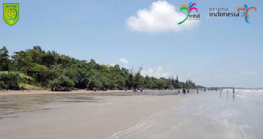 Keindahan Pantai Solop dengan Pasir Putih dan Hutan Bakaunya yang Menakjubkan