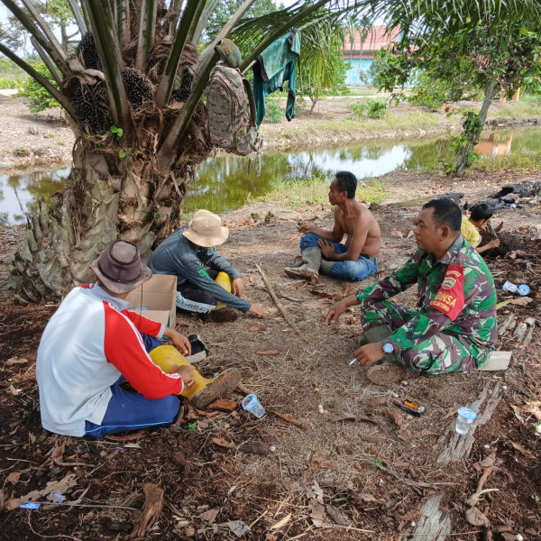 Babinsa Kelurahan Pelintung Pantau Pertumbuhan Tanaman Padi Gogo di KPT Pertanian