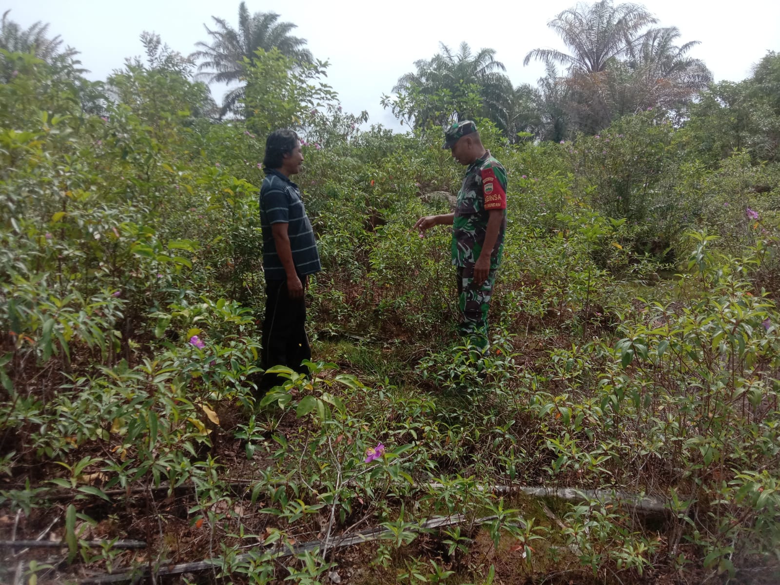 Babinsa Koramil PWK 04 Laksanakan Himbauan Cegah Karhutla