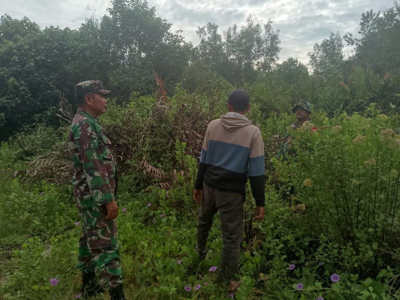 Babinsa Koramil 06/Merbau Rutin Lakukan Patroli Karhutla di Desa Semukut