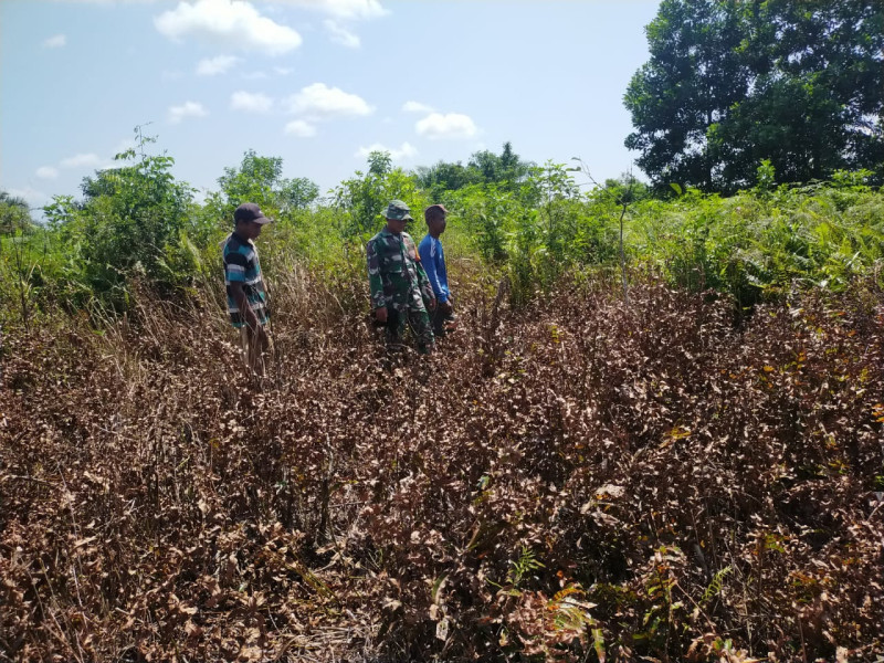 Serda Iwan Sahputra Berkomitmen Cegah Kebakaran Hutan Dengan Patroli dan Sosialisasi di Wilayahnya