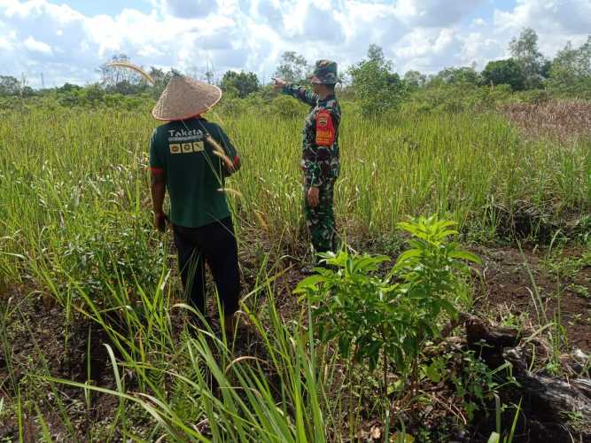 Babinsa Koramil 01 Laksanakan Patroli Cegah Karhutla