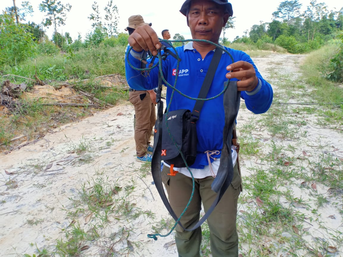 45 Jerat dan Satu Perangkap Landak Ditemukan di Wilayah Riau