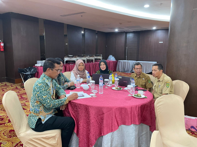 Dinas P2KBP3A Inhil Hadiri Asistensi penyusunan Laporan TPPS Kabupaten / Kota  tahun 2023