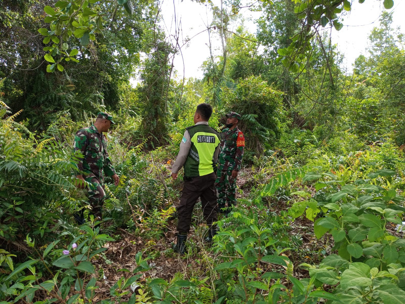 Giat Patroli Oleh Koramil 06 Merbau Cegah Karhutla