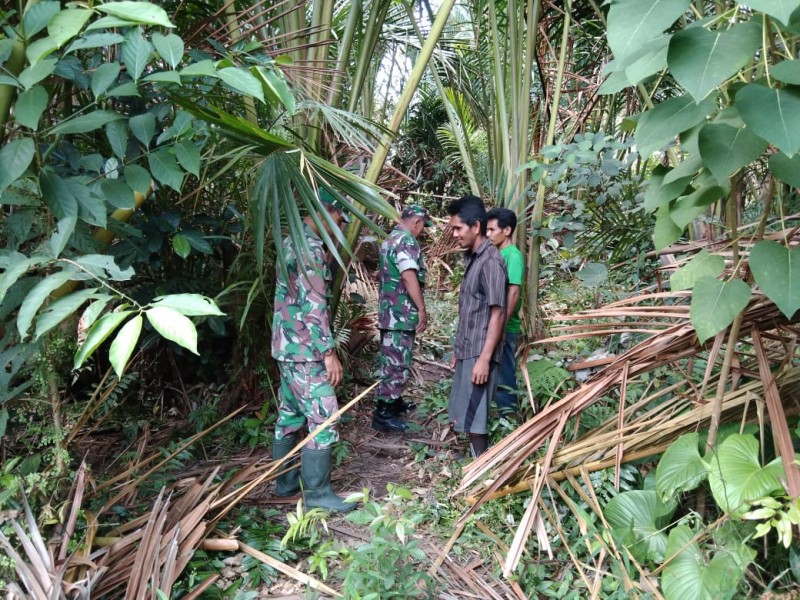 Babinsa Koramil 06/Merbau Intensif Patroli Karhutla di Desa Bandul