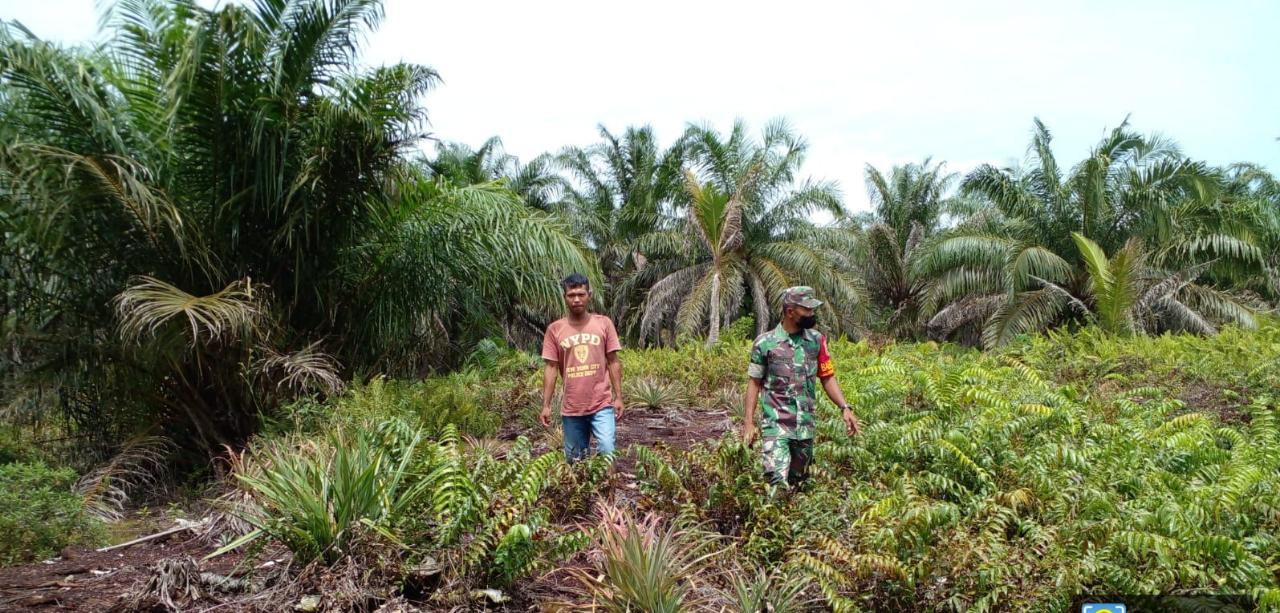 Serda Sugianto Harap Masyarakat Jaga Hutan