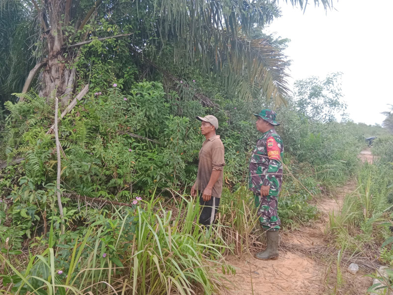 Sertu Mahyudin Laksanakan Patroli dan Sosialisasi Cegah Karhutla di Dumai Barat