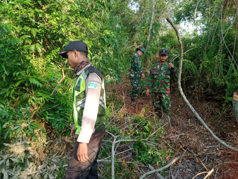 Pelaksanaan Pencegahan Karhutla Dilaksanakan Oleh Personil Koramil 06 Merbau