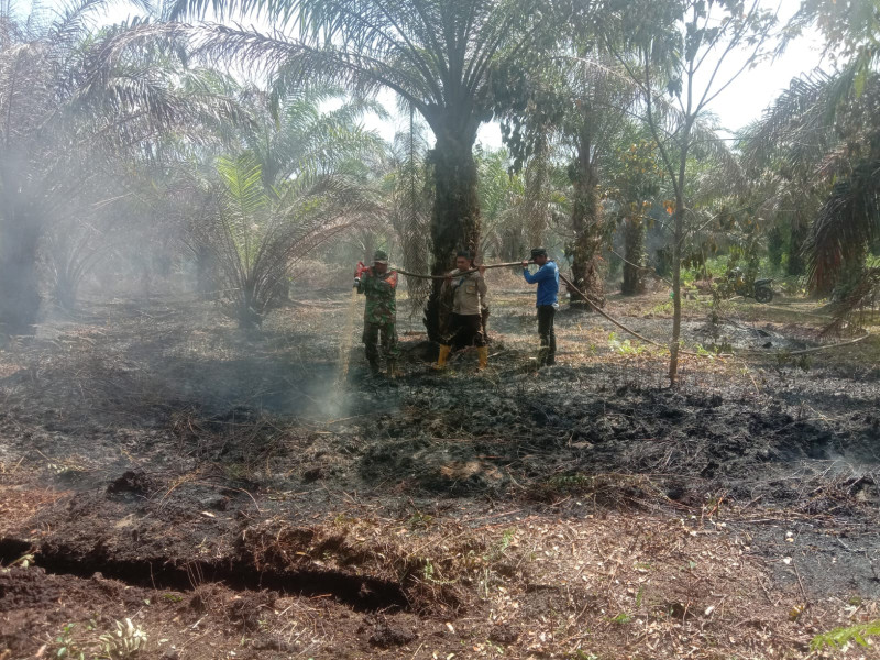 Babinsa Teluk Makmur Serda Cerzakatno Berhasil Padamkan Karlahut di Dua Lokasi