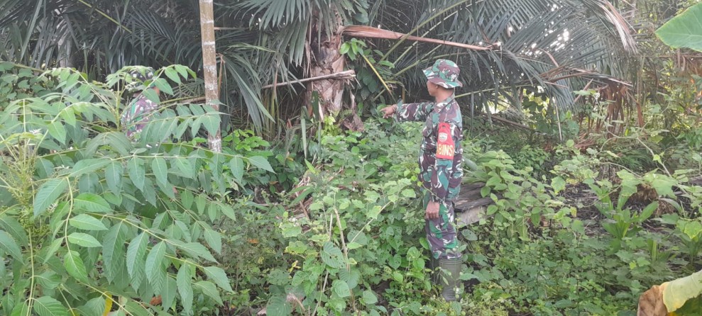 Babinsa Koramil 06/Merbau Tingkatkan Patroli Karhutla di Desa Pangkalan Balai