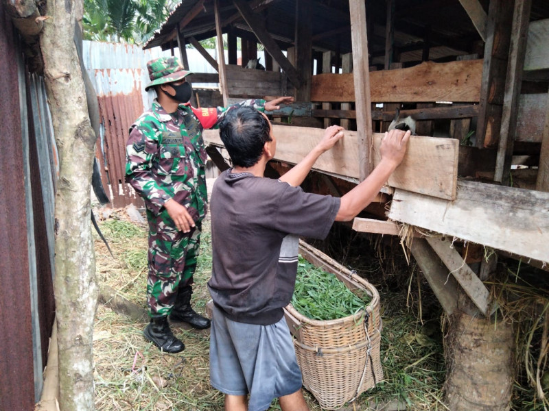 Giat Pencegahan PMK Oleh Sertu Sugianto di Wilayah Binaannya