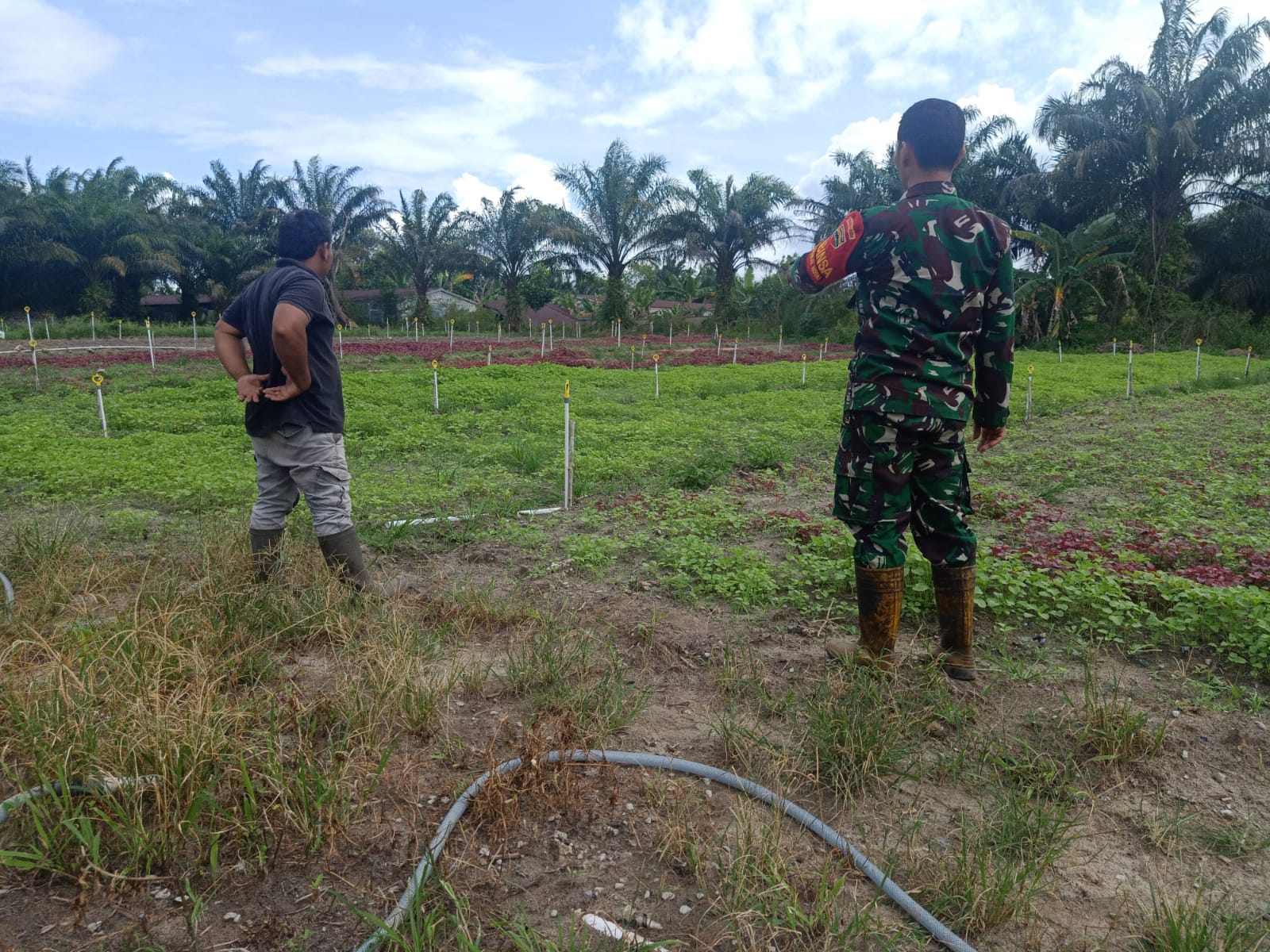 Serda Boby Rahman Beri Edukasi ke Petani