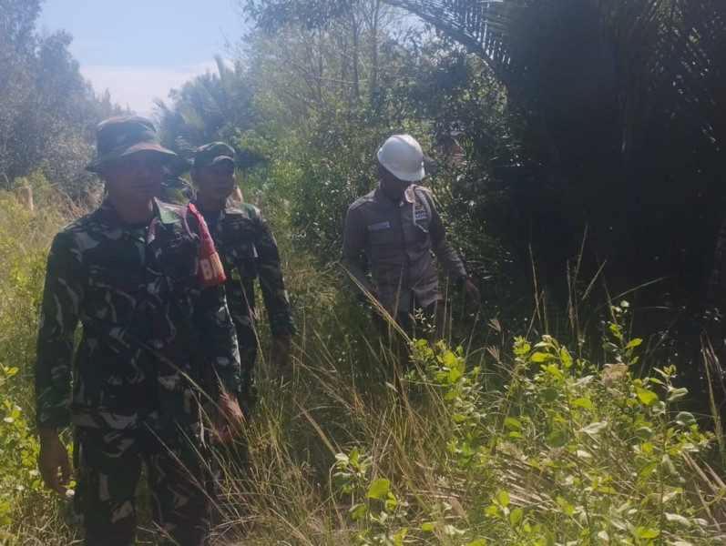 Kodim 0303/Bengkalis Lakukan Monitoring Karhutla di Desa Teluk Ketapang