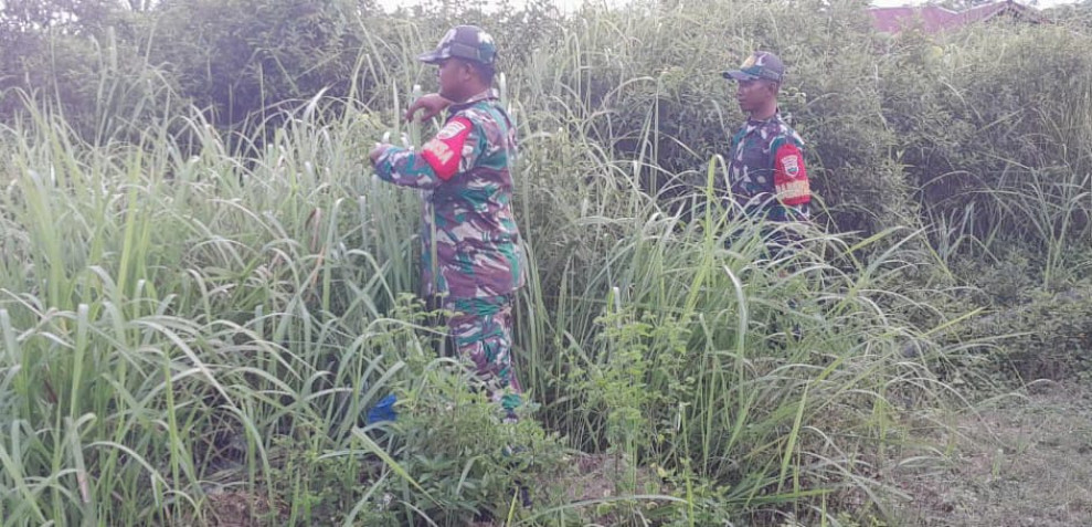 Patroli Babinsa di Pangkalan Balai, Fokus Antisipasi Karhutla