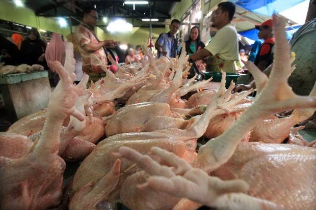Harga Daging Ayam Ras di Tembilahan Naik 7 Persen