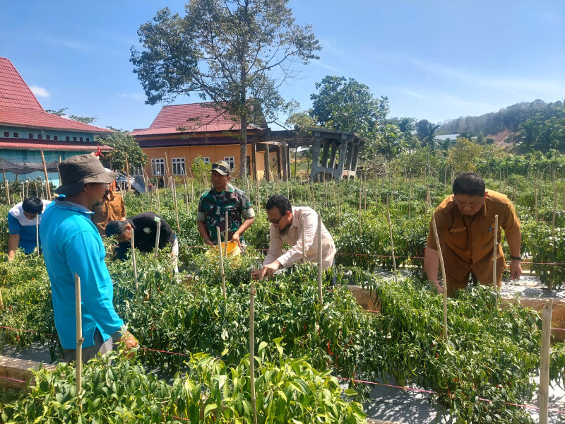 Jaga Ketahanan Pangan, Pihak Kodim dan Dinas Pertanian dan Petani Laksanakan Panen Raya