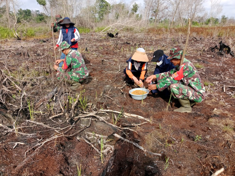 Kodim 0320/Dumai Fokus Tanam Padi Gogo di Tiga Kecamatan, Optimalkan Ketahanan Pangan