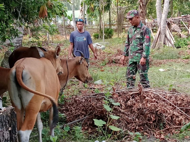 Giat Praka Onki Dalam Mencegah PMK