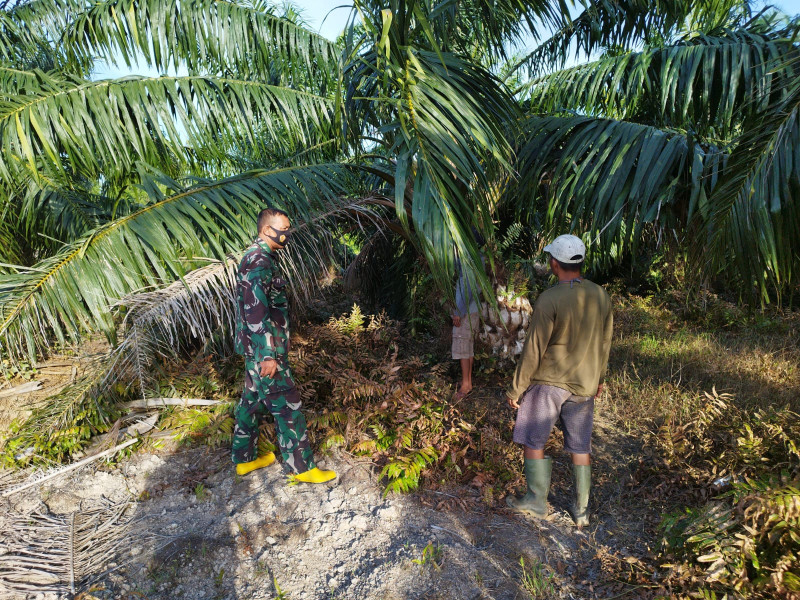 Serda Miftah Ingatkan Ini ke Masyakarat