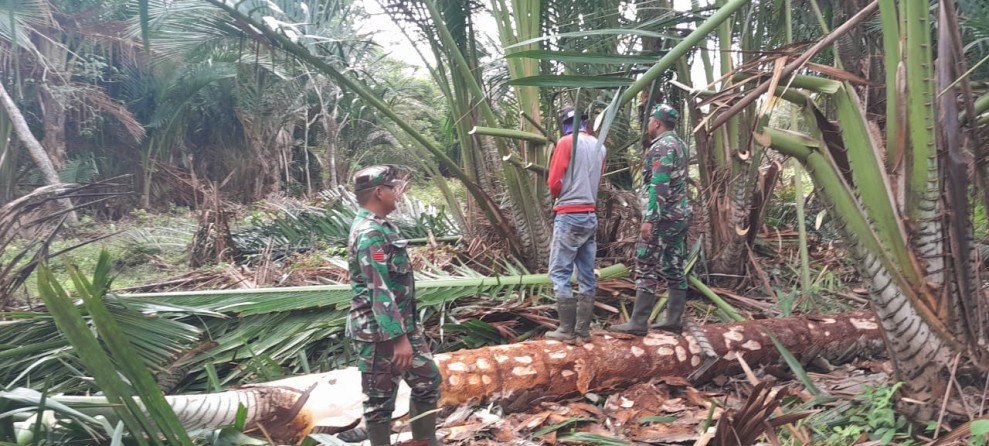 Babinsa Ingatkan Ancaman Pidana Bagi Pembakar Lahan di Merbau