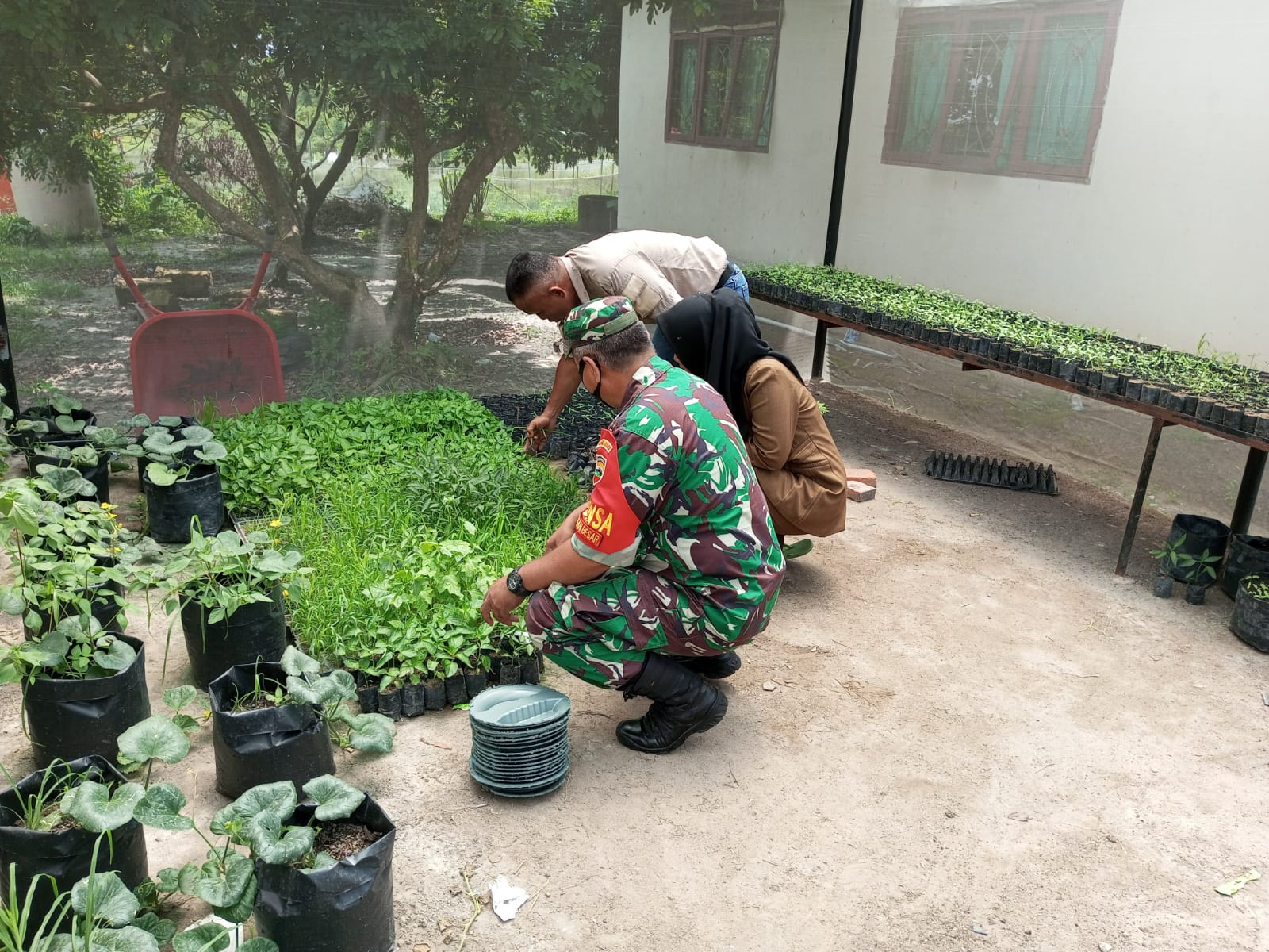 Serma Zul Efendi dan PPL Melaksanakan Giat Karya Nyata di KWT Srikandi