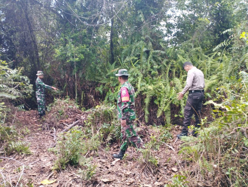 Pencegahan Kebakaran Hutan Dilaksanakan Oleh Babinsa Koramil 06 Merbau