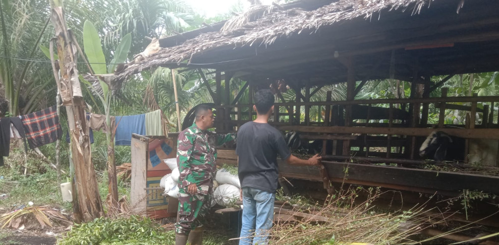 Memperhatikan Situasi Peternakan di Wilayah Binaannya, Sertu Hendra Terus Ingatkan Pentingnya Menjaga Kebersihan Kandang