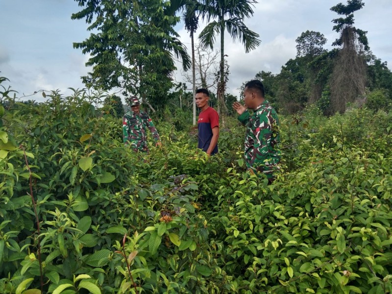 Babinsa Koramil 06/Merbau Gencarkan Patroli Cegah Karhutla di Desa Bagan Melibur